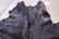Black Dyed Leopard Skin Rug 6' 5" x 5' 2" - 3