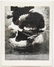 African-American Vintage Photographs, Pair - 4