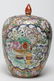 Chinese Famille Rose Porcelain Ginger Jar - 2