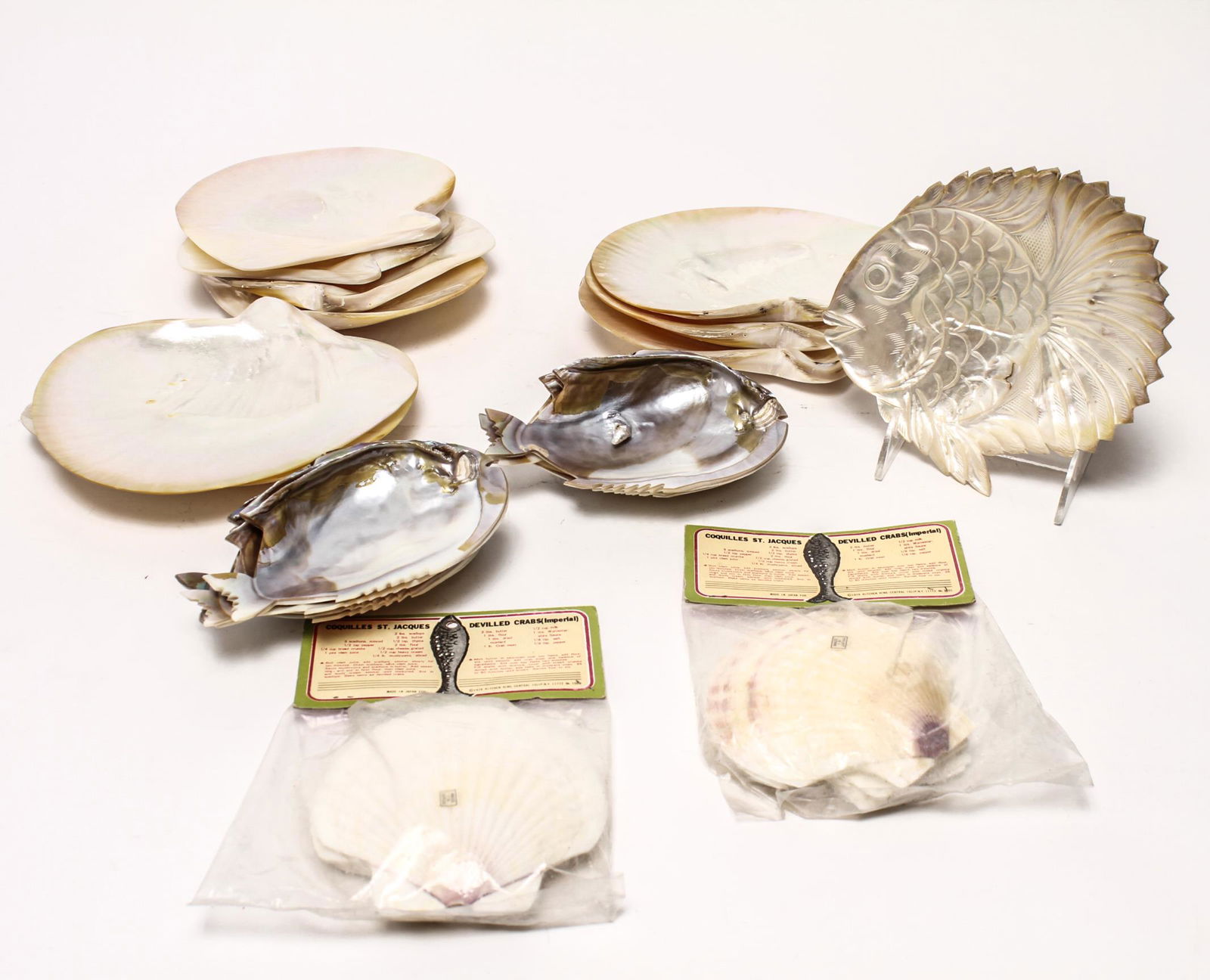 Aquatic Shell Plates, 28 (1 of 11)