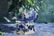 Gaston Sébire Floral Still Life Large Oil - 7