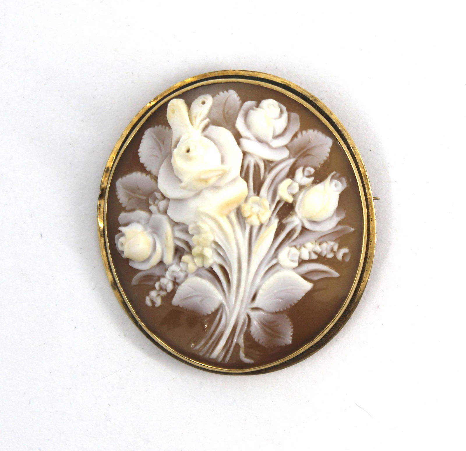 Edwardian 14K Yellow Gold Frame Shell Cameo (1 of 5)