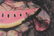 Rufino Tamayo "Watermelon Eater" Lithograph - 8