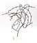 Mid-Century Willow Sculpture on Lucite Base - 3