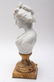 G. Comein Signed Bisque Ceramic Bust Sculpture - 5