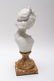 G. Comein Signed Bisque Ceramic Bust Sculpture - 7