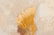 Modern "Birds in Flight" Oil on Canvas - 6