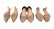 Manolo Blahnik Assorted Shoes, Sizes 37 & 38, 3 Pr - 5