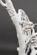 Victorian Cast Iron Serpent & Twig Garden Bench - 5