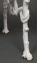Victorian Cast Iron Serpent & Twig Garden Bench - 8
