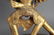 Large Tibetan Gilt Bronze Figure Of Hevajra - 7