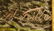Illegibly Signed Landscape Painting on Porcelain - 6