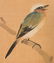 Chinese Flowers & Bird Painting on Silk - 4