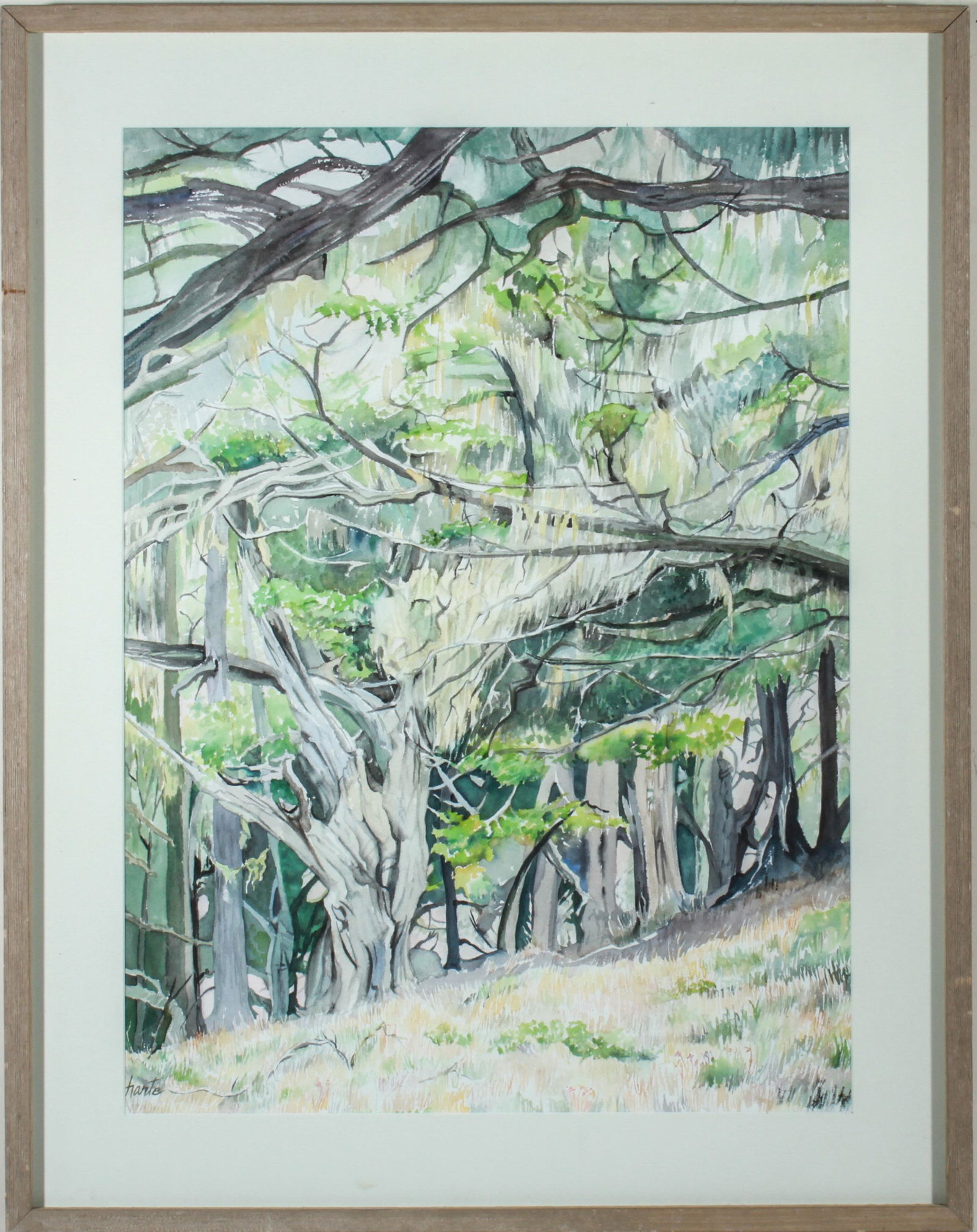 "Cypress Grove Point Lobos" W/C Signed Harte (1 of 6)