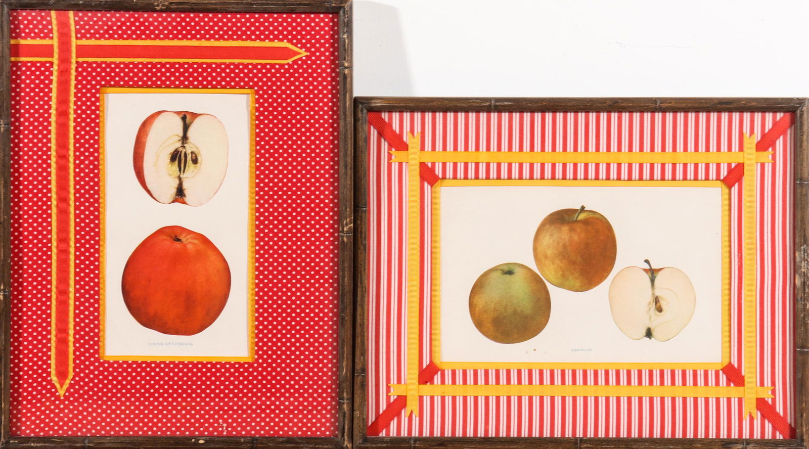 Vintage Apple Botanical Prints, Pair (1 of 4)