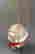 item-93159950=3