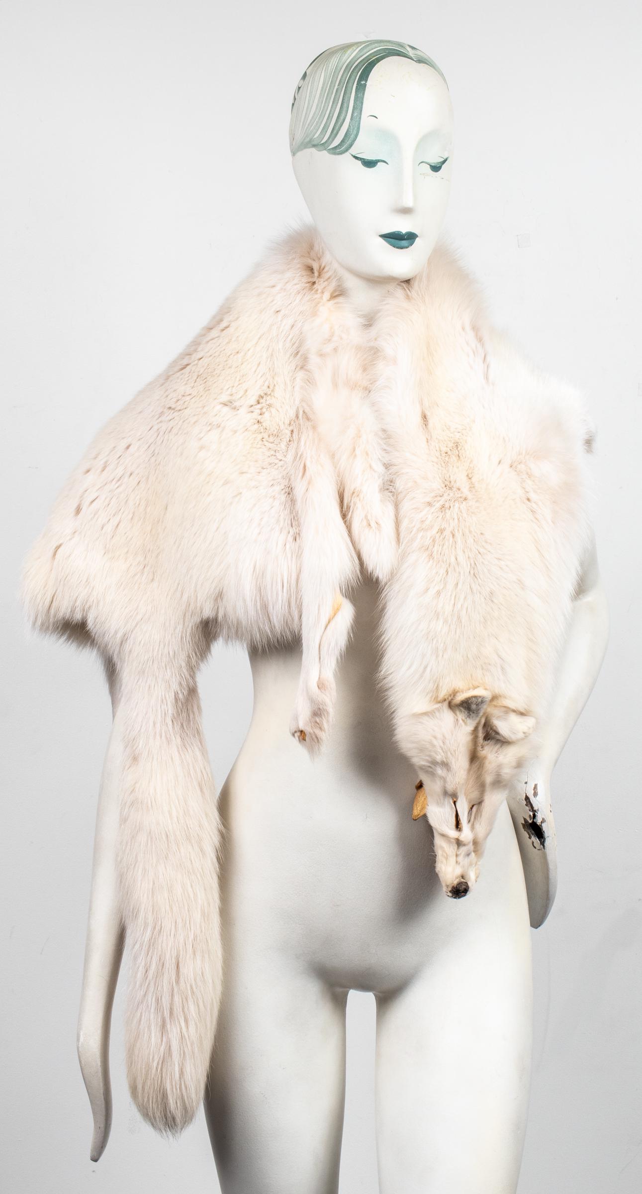 Fox Taxidermy Fur Pelt / Rug (1 of 8)