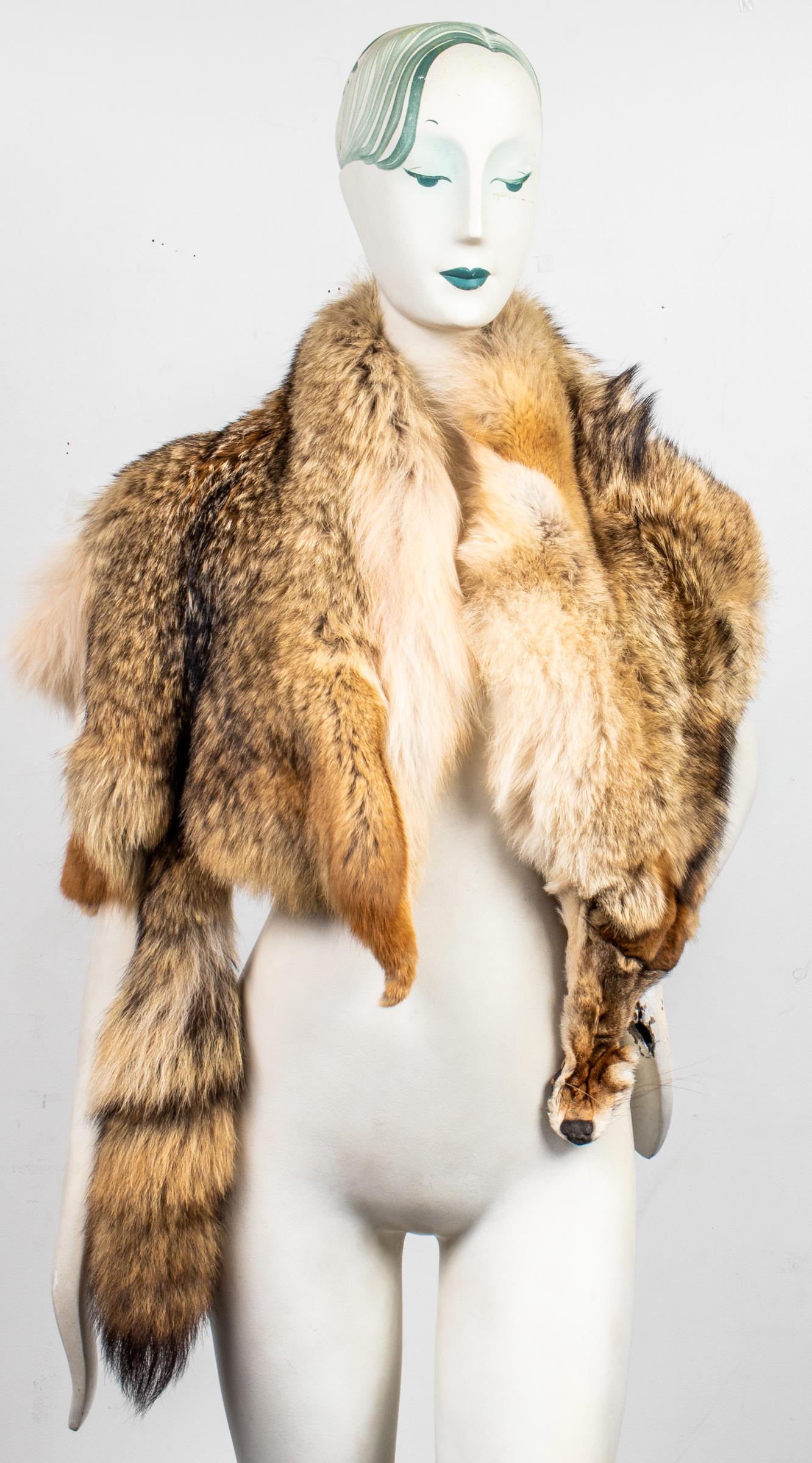Coyote Taxidermy Fur Pelt / Rug (1 of 8)