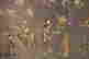 item-6477252=2