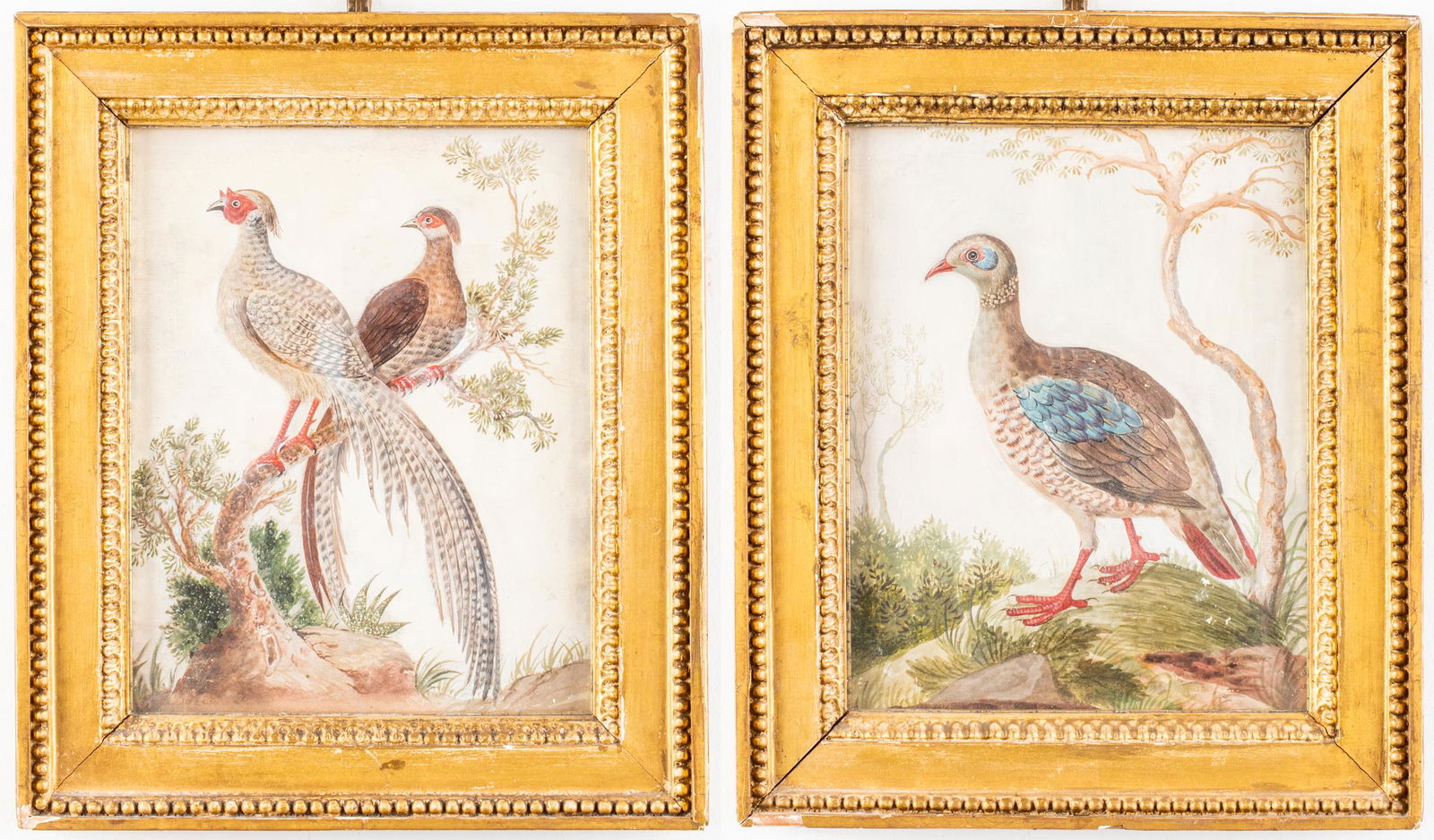 Chinese Export Watercolors of Birds in Relief, Pr (1 of 11)