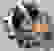 item-98078036=5