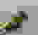 item-98078036=6
