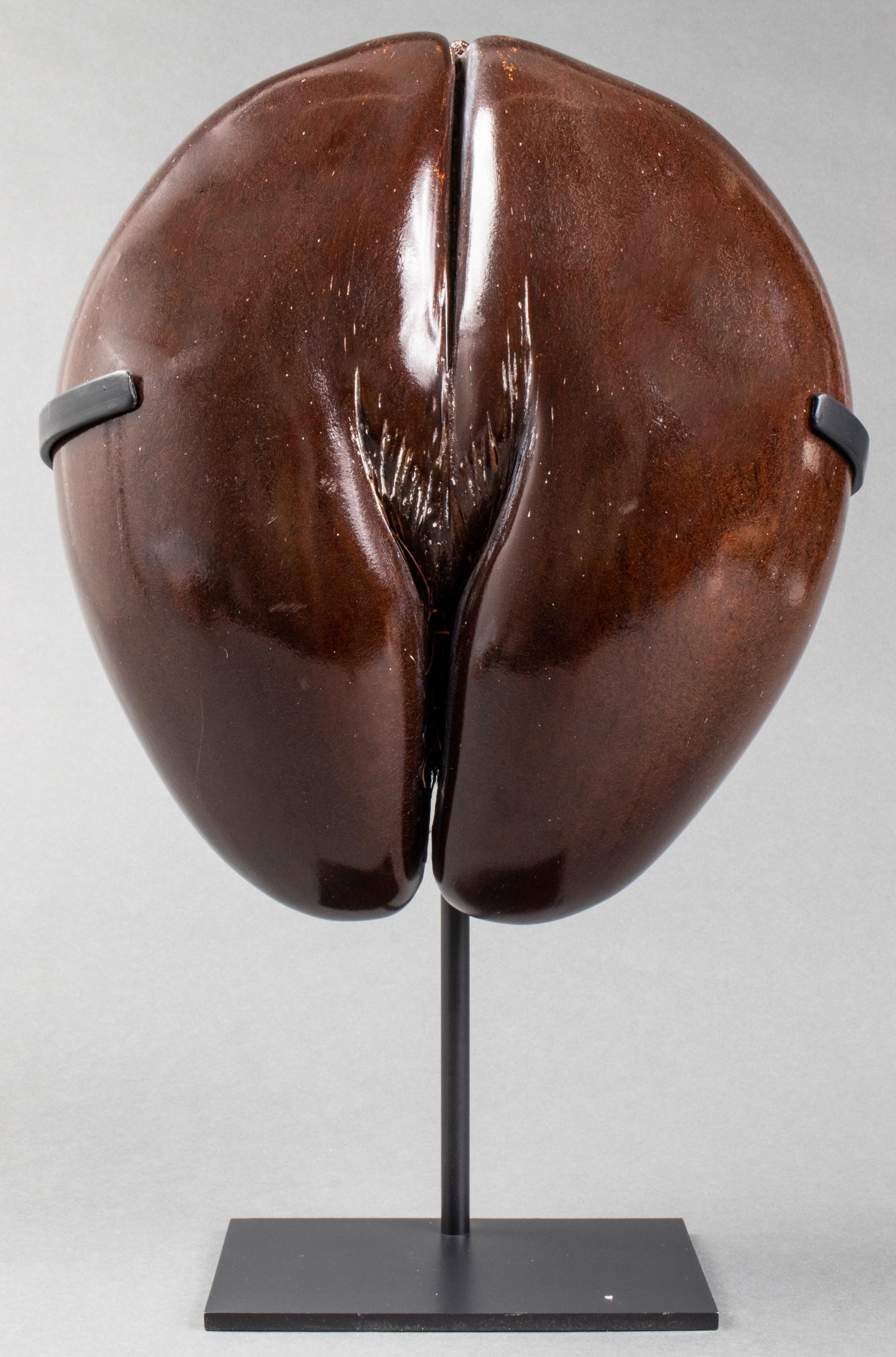 Coco De Mer (Lodoicea Maldivica) Nut Specimen (1 of 6)