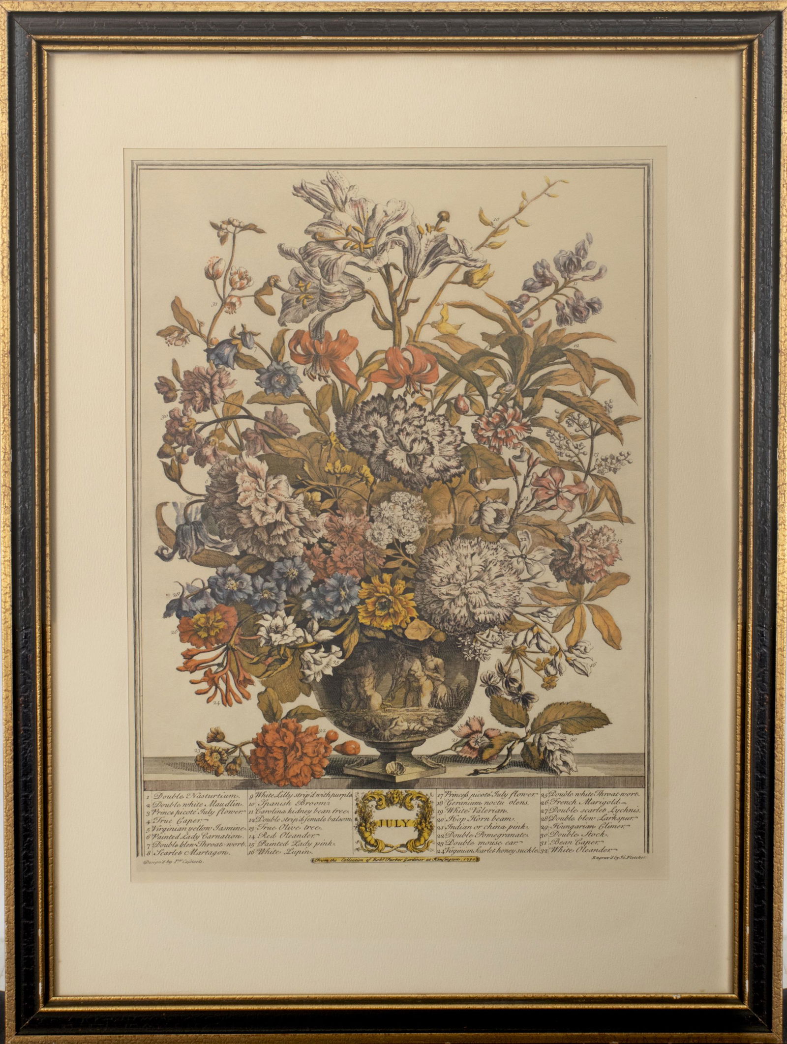 Henry Fletcher 18th C. Botanical Engravings (1 of 5)