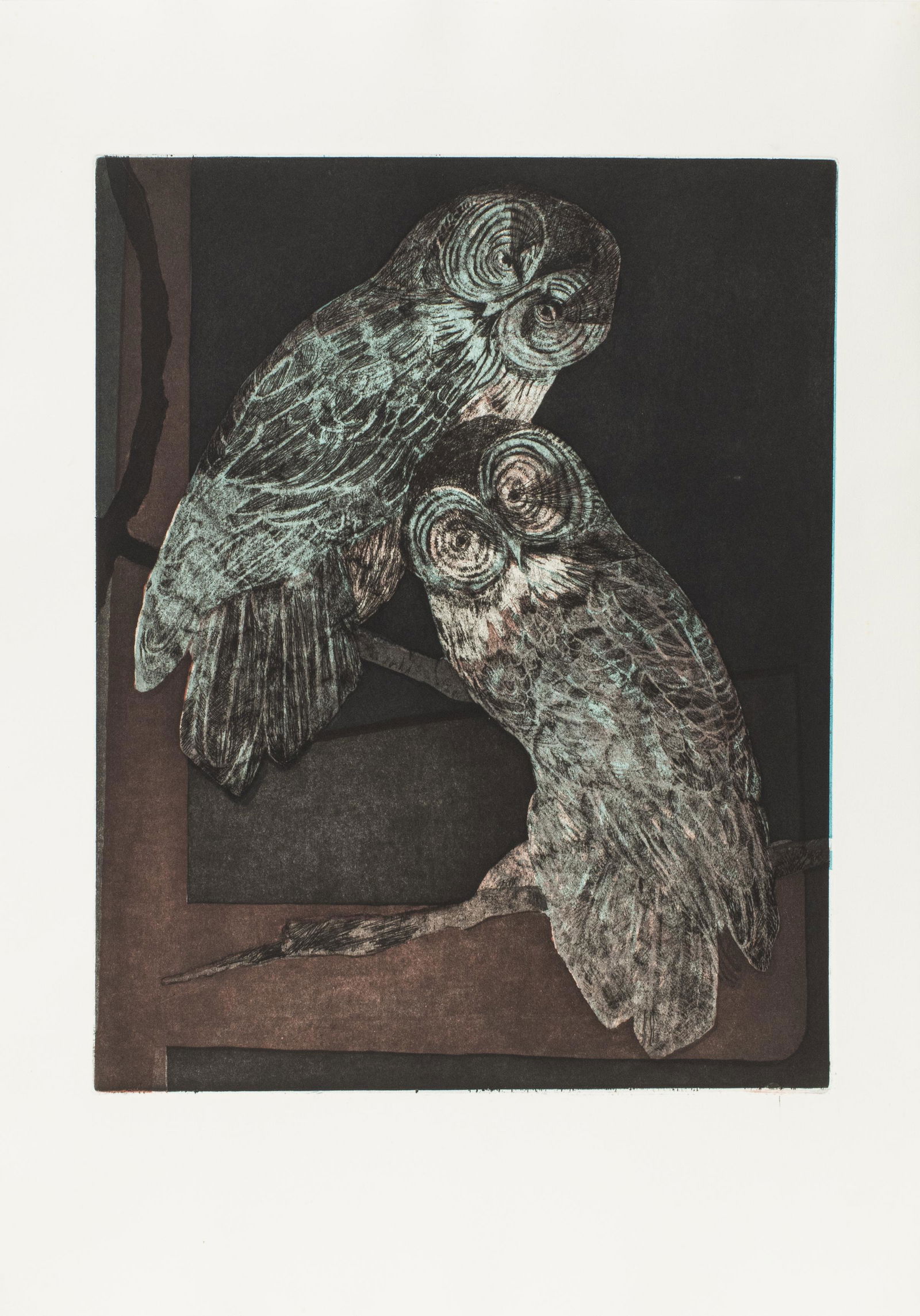 Etchings of Owls in Color, 16 PCS. (1 of 2)