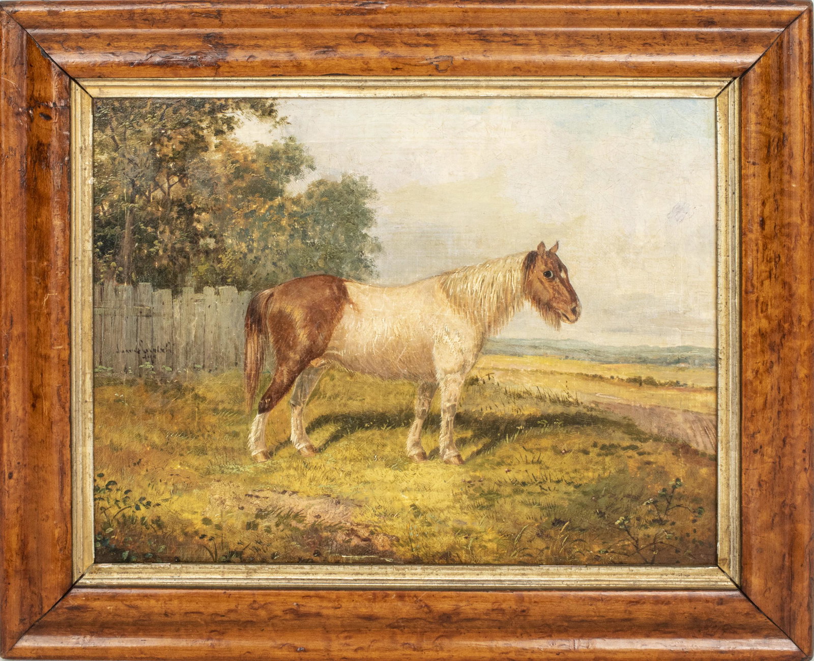 Illegibly Signed "Portrait of a Pony" Oil, Antique: Antique oil on canvas depicting portrait of a horse, likely Continental School, bearing illegible signature date at left. Image: 11" H x 14.5" W; frame: 15.75" H x 19.25" W x 1" D. Craquelure, very mi