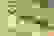 item-105987849=4