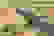 item-105987849=6