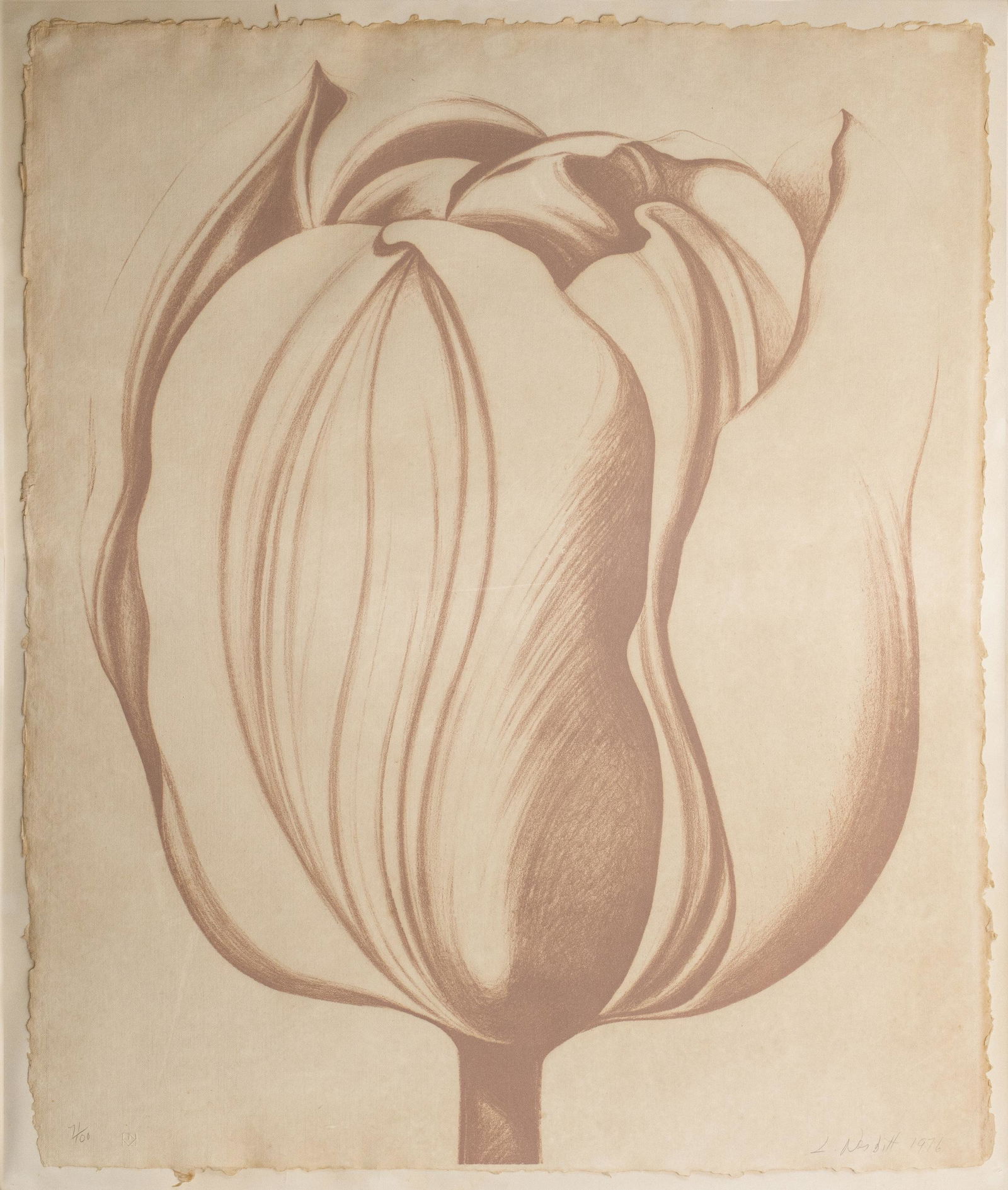 Lowell Nesbitt "Tulip" Silkscreen, 1976 (1 of 7)