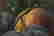 item-106870429=3