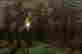 item-107878997=2