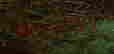 item-107878997=3