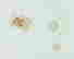 item-112296330=6