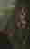 item-112296332=3