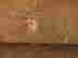 item-112296335=14