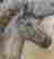 item-112296336=3