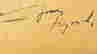 item-112296339=6