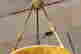 item-112296358=4