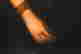 item-112296437=4
