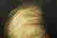 item-112296437=5