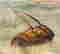 item-112296440=2