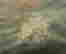 item-112296440=5