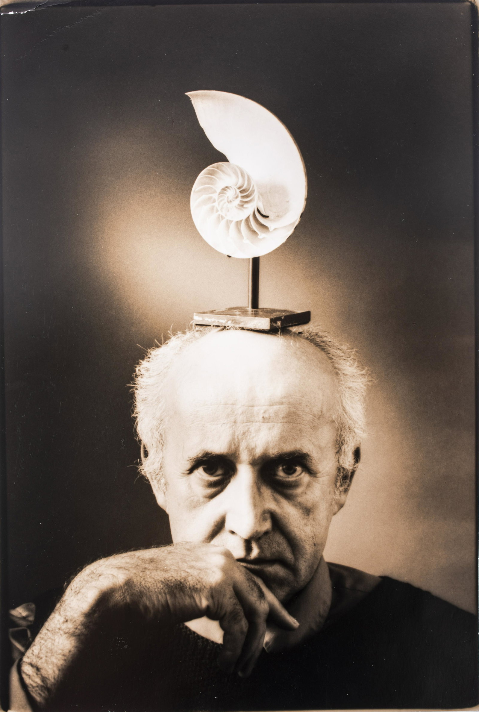 "Man With Nautilus Shell" Photo from YSL Offices: Toned black and white portrait photograph of an older man balancing a nautilus shell on his head, unframed. Overall: 15" H x 9.875" W. Reportedly photographed by Robert Mapplethorpe,removed from Didie