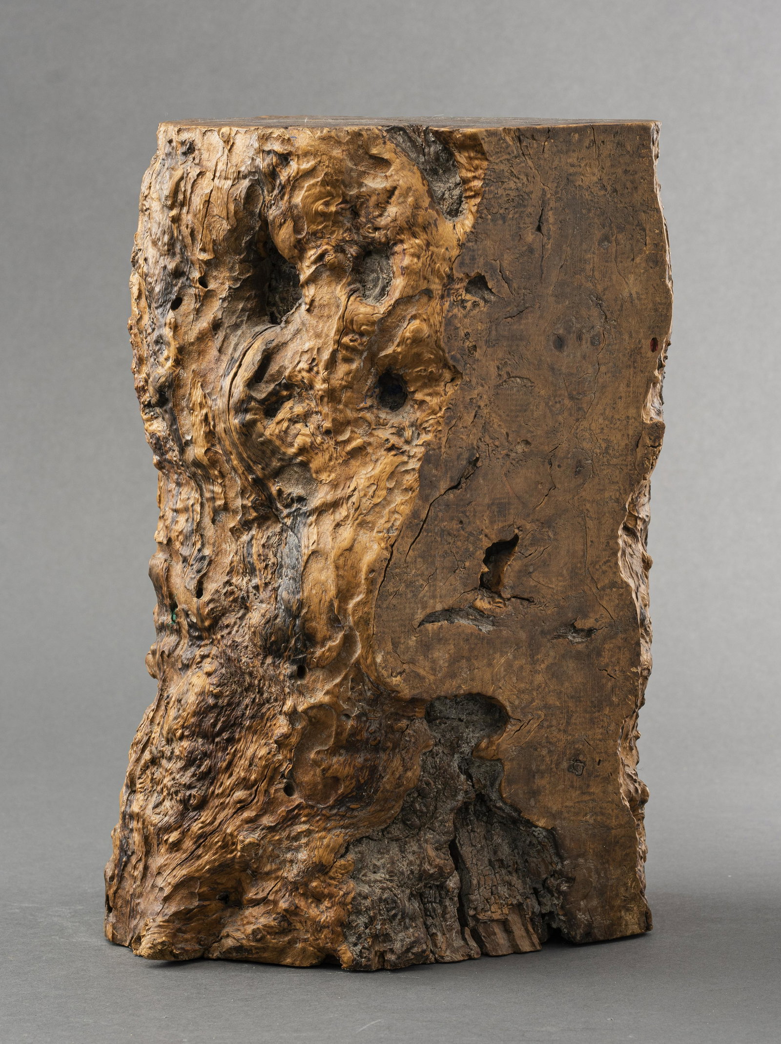 Modern Burlwood Log Stump Side Table (1 of 6)