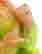 item-115706802=3