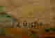 item-119236457=3